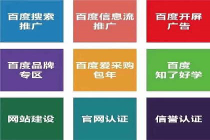 某某SEM公司经典案例：如何用SEM策略提升品牌知名度